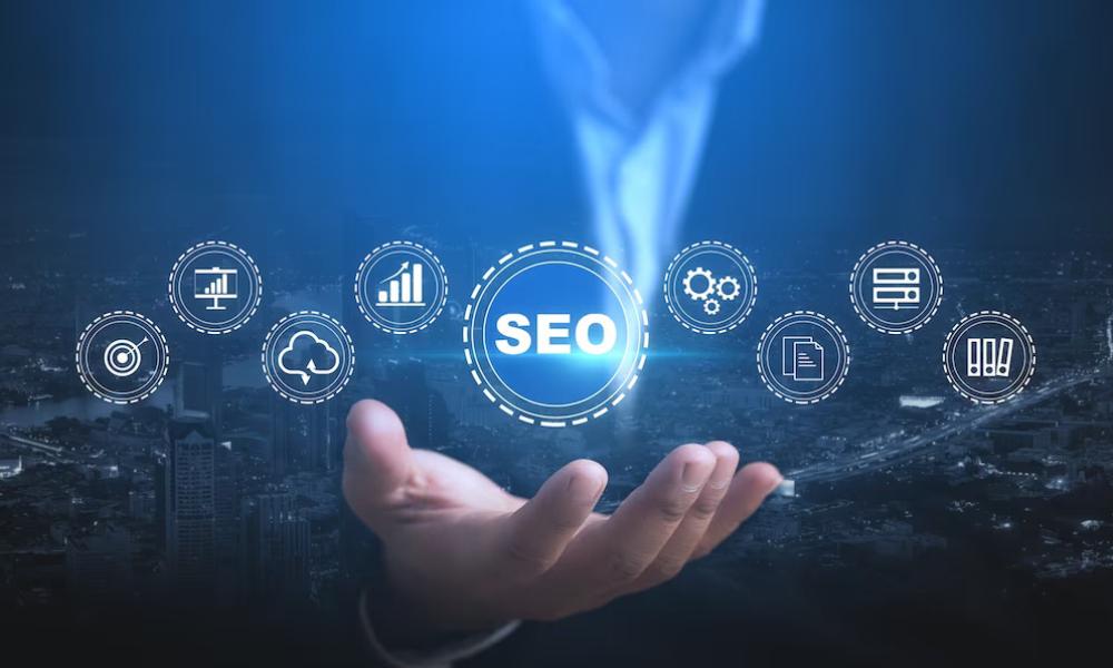 Top SEO Services in Noida & Delhi NCR